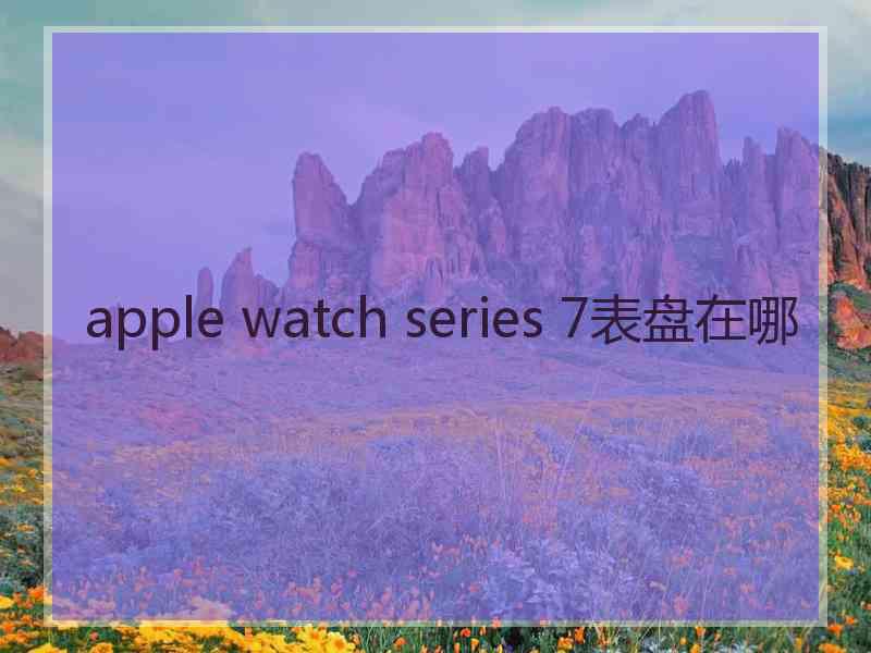 apple watch series 7表盘在哪