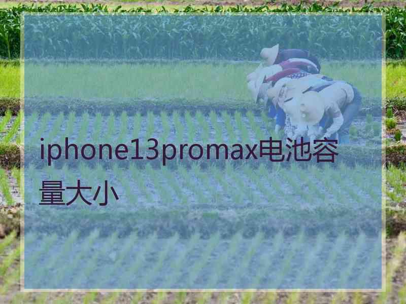 iphone13promax电池容量大小