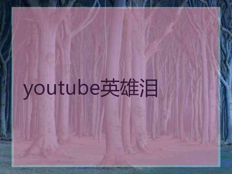 youtube英雄泪