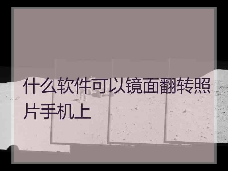 什么软件可以镜面翻转照片手机上