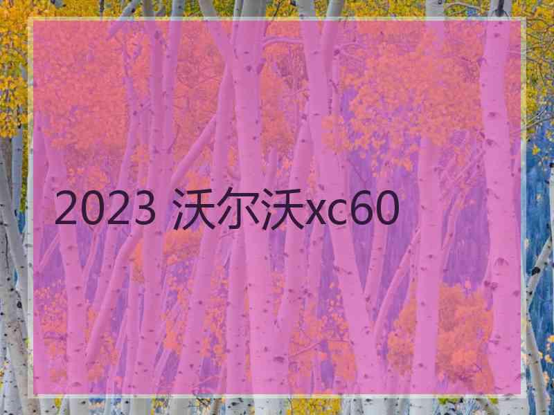 2023 沃尔沃xc60