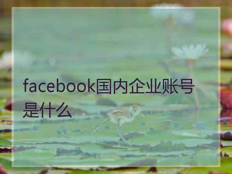 facebook国内企业账号是什么