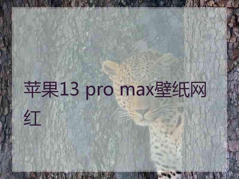 苹果13 pro max壁纸网红