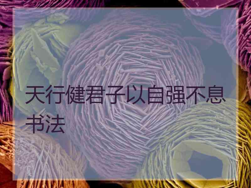 天行健君子以自强不息书法