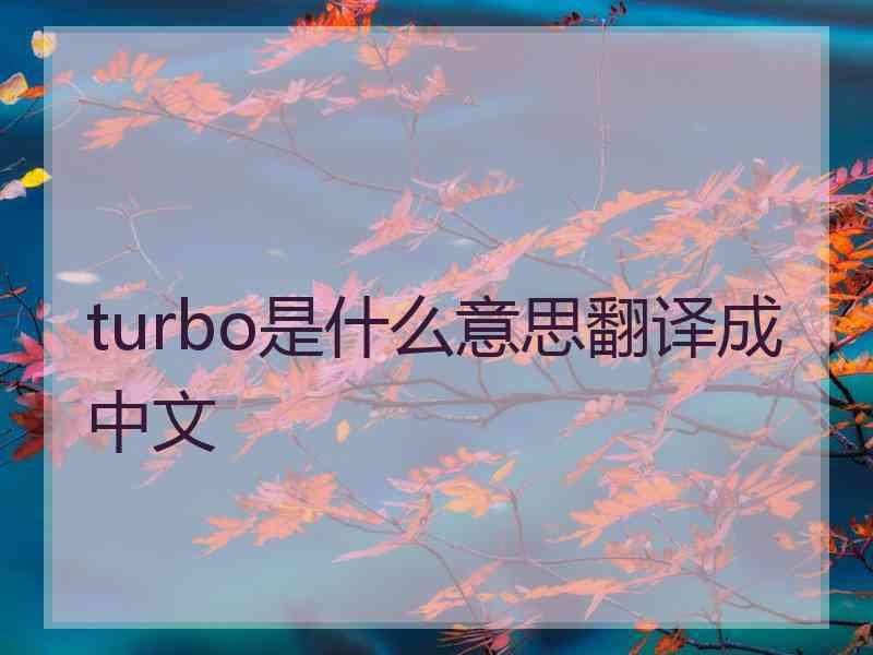 turbo是什么意思翻译成中文