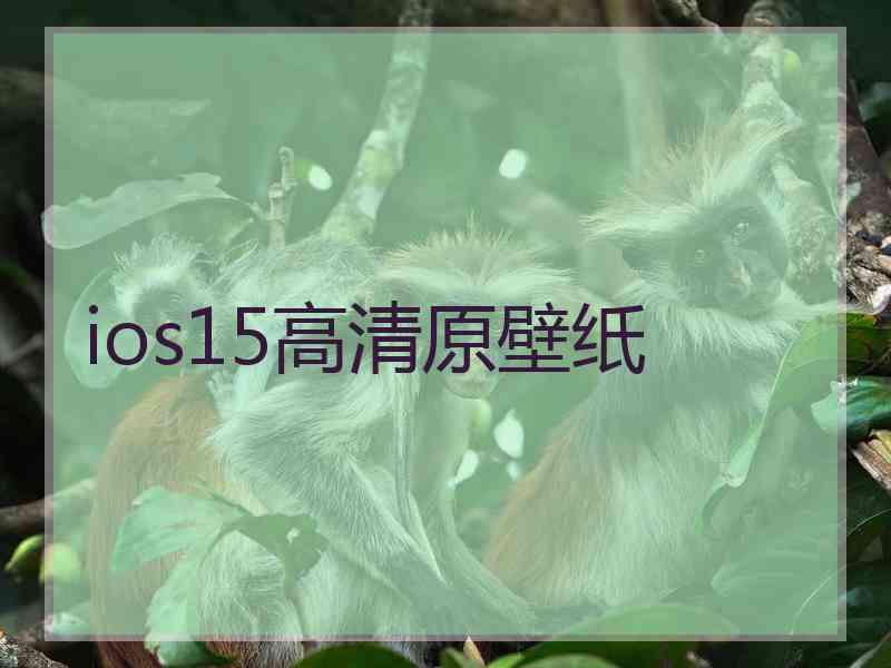 ios15高清原壁纸