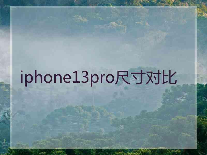 iphone13pro尺寸对比