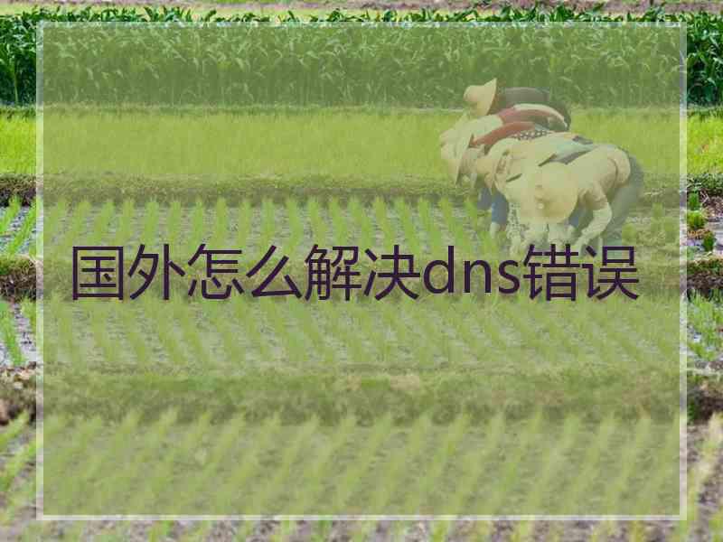 国外怎么解决dns错误