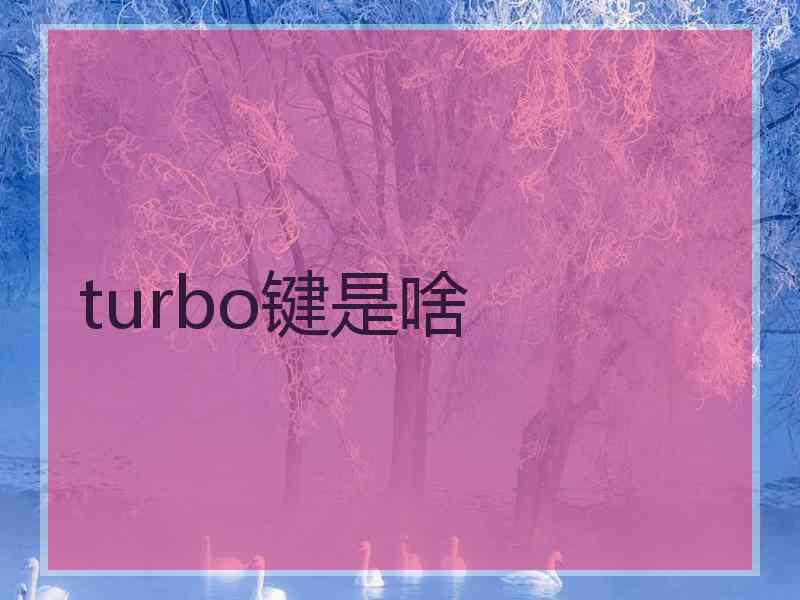 turbo键是啥