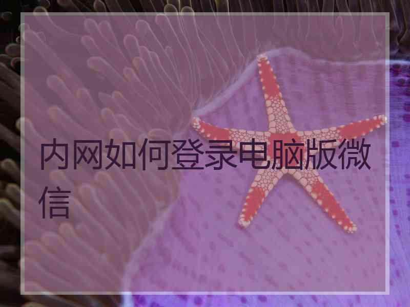 内网如何登录电脑版微信