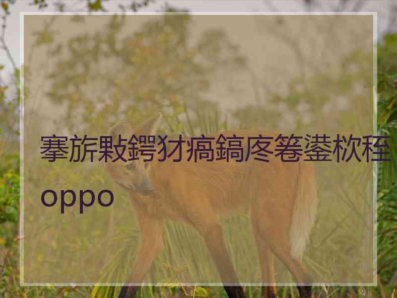 搴旂敤鍔犲瘑鎬庝箞鍙栨秷oppo