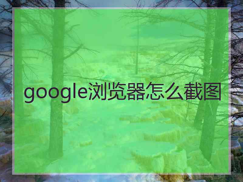 google浏览器怎么截图