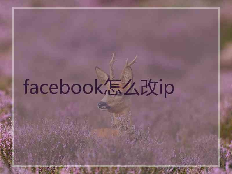 facebook怎么改ip