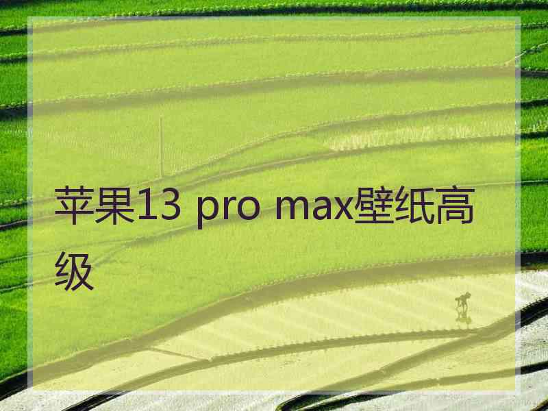 苹果13 pro max壁纸高级