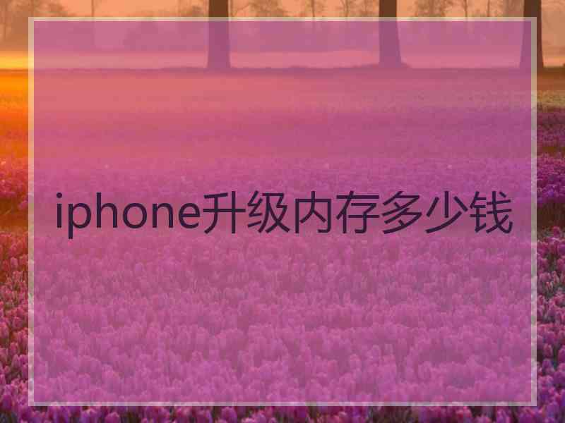 iphone升级内存多少钱