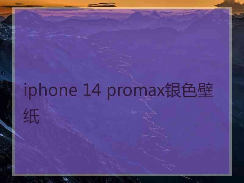 iphone 14 promax银色壁纸