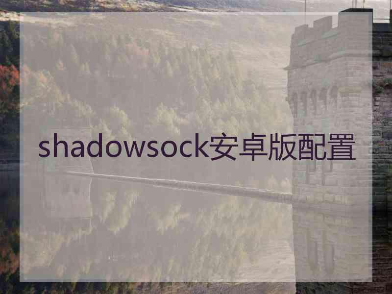 shadowsock安卓版配置