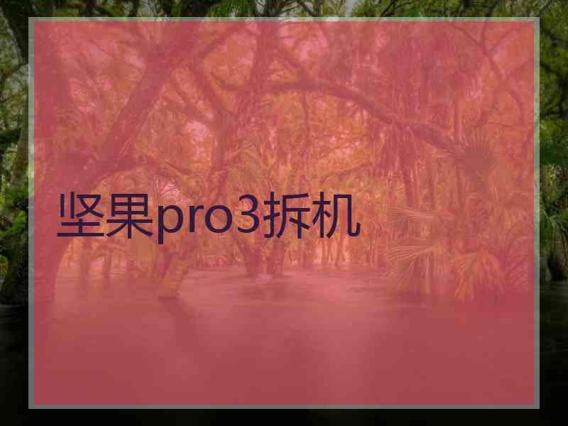 坚果pro3拆机