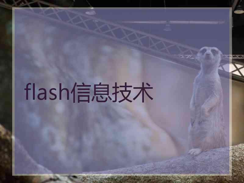 flash信息技术