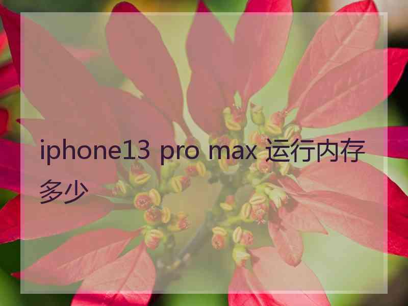 iphone13 pro max 运行内存多少