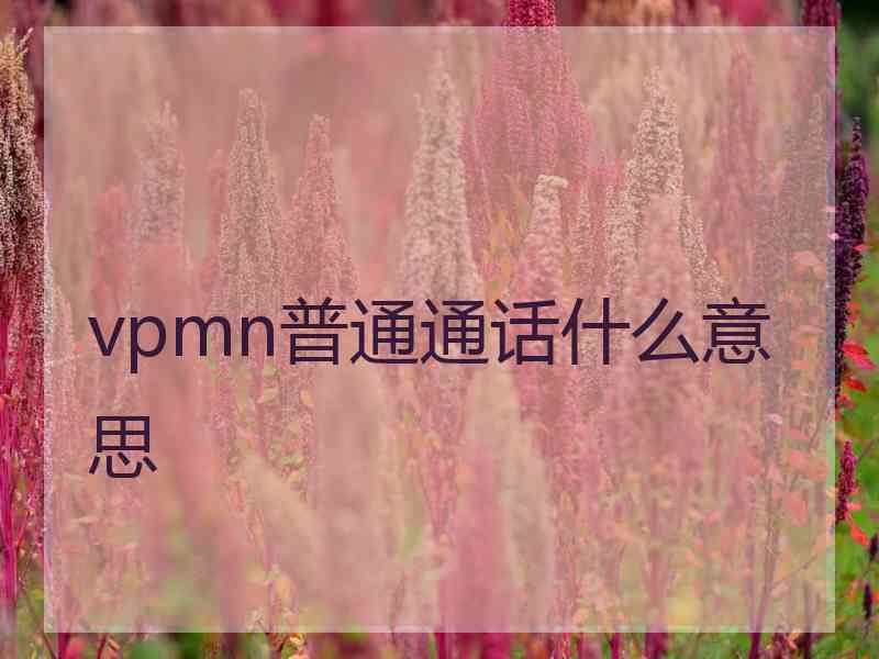 vpmn普通通话什么意思