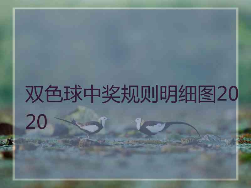 双色球中奖规则明细图2020