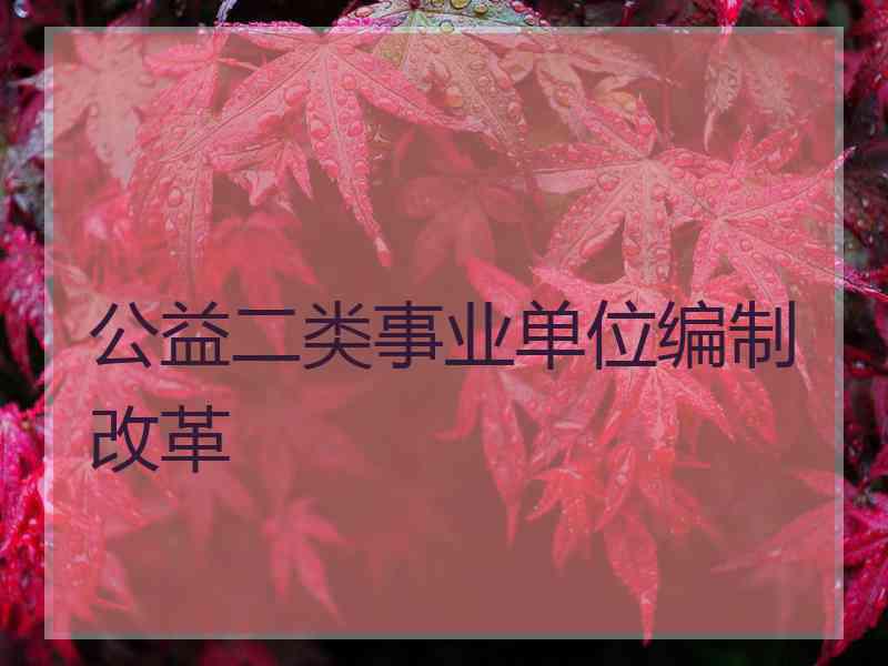 公益二类事业单位编制改革