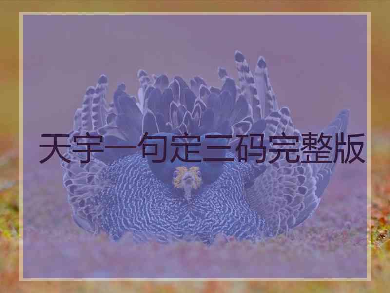 天宇一句定三码完整版