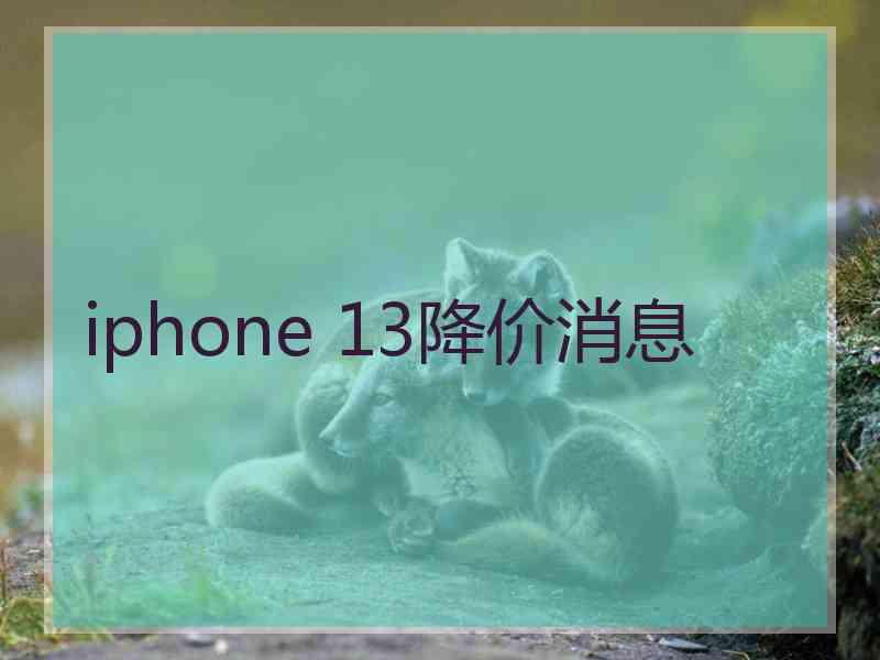 iphone 13降价消息