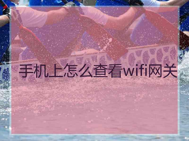 手机上怎么查看wifi网关