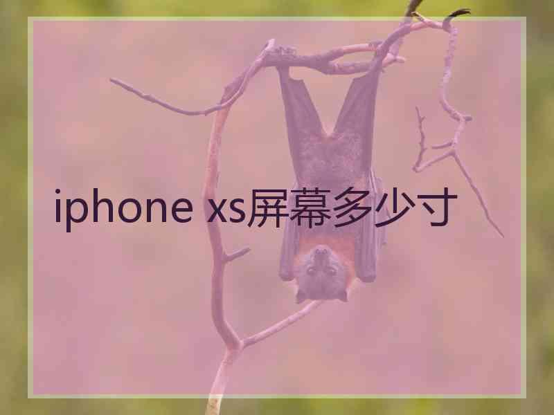 iphone xs屏幕多少寸