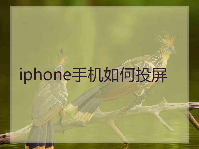 iphone手机如何投屏