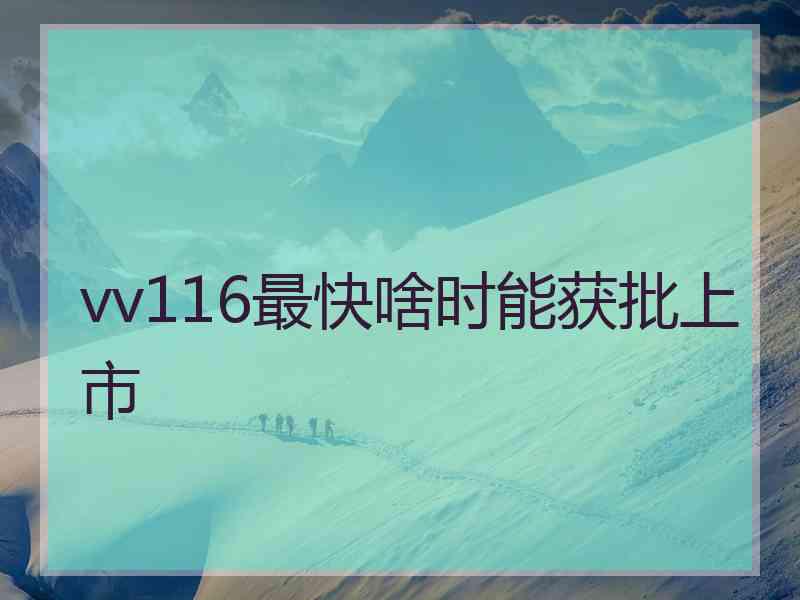 vv116最快啥时能获批上市