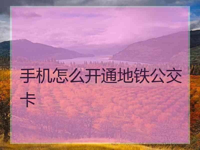 手机怎么开通地铁公交卡