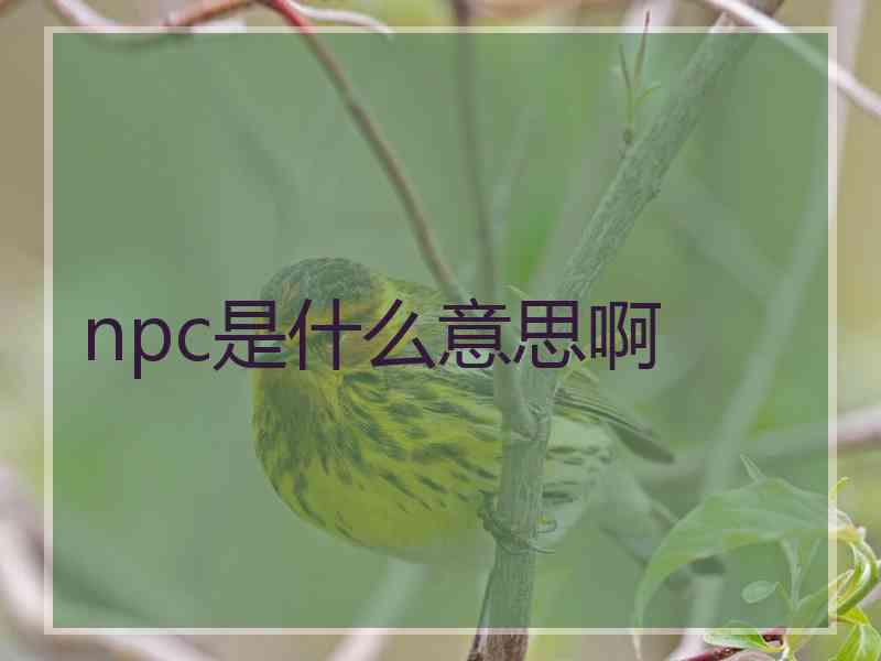 npc是什么意思啊