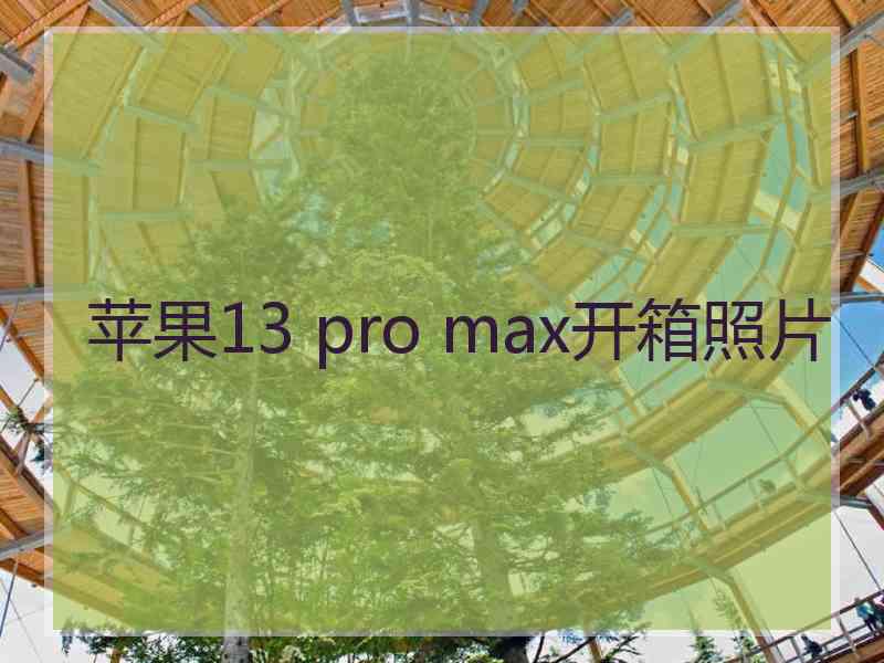 苹果13 pro max开箱照片