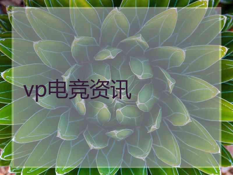 vp电竞资讯