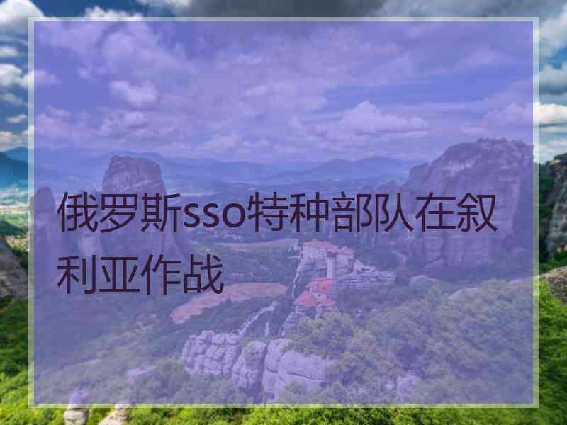 俄罗斯sso特种部队在叙利亚作战