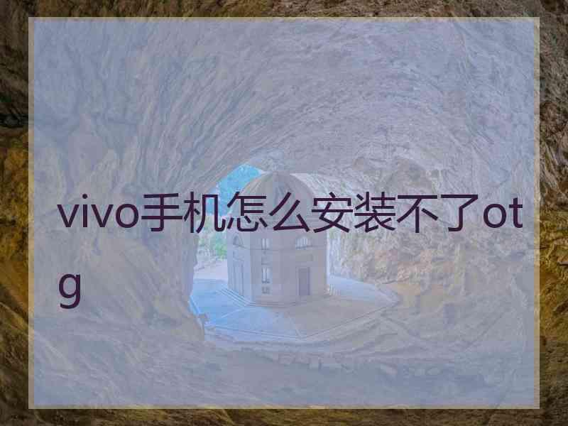 vivo手机怎么安装不了otg