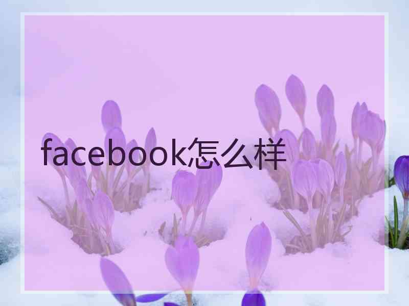 facebook怎么样