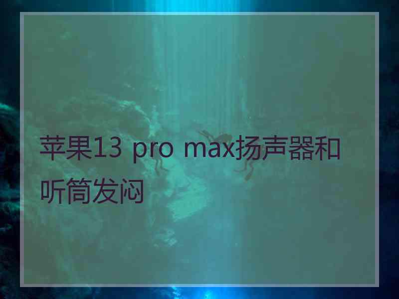 苹果13 pro max扬声器和听筒发闷