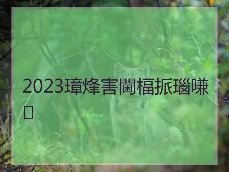 2023璋烽害閫楅挀瑙嗛