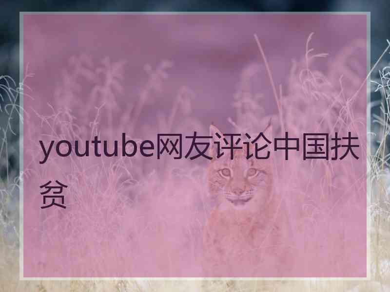 youtube网友评论中国扶贫