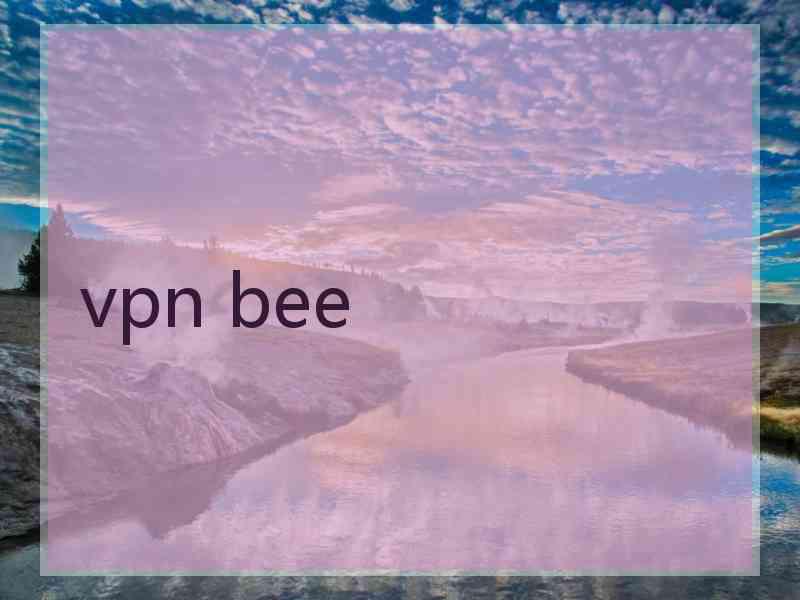 vpn bee