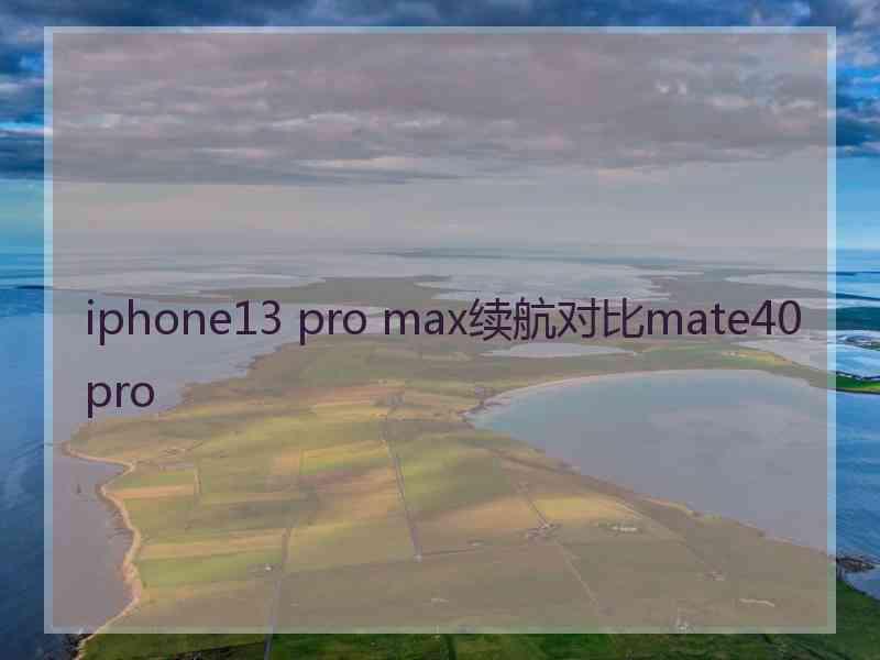 iphone13 pro max续航对比mate40 pro