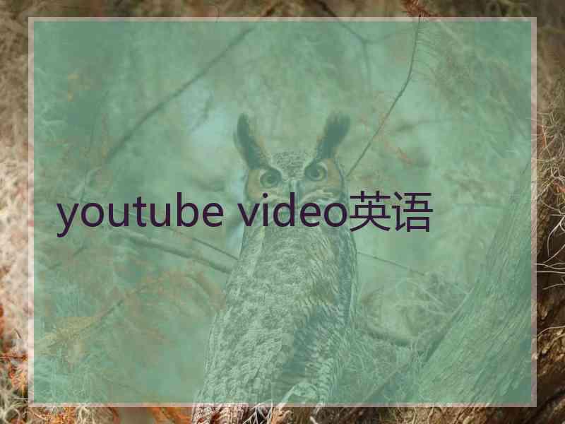 youtube video英语