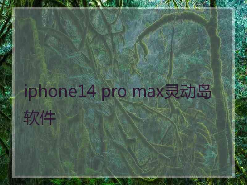 iphone14 pro max灵动岛软件