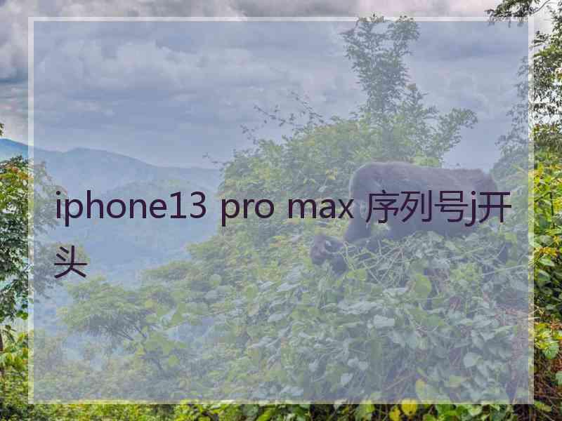 iphone13 pro max 序列号j开头