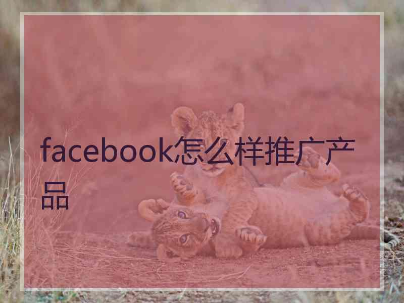 facebook怎么样推广产品