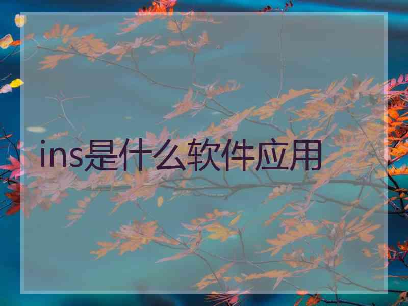 ins是什么软件应用